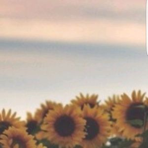 Meet your Posher, Paige